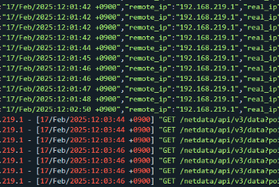 Nginx와 Netdata 연동 문제 해결 과정에 대한 img