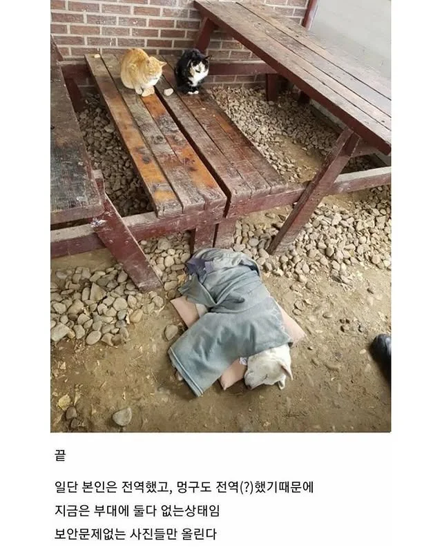 상세 이미지