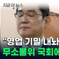 민주당 ''대기업들 영업 기밀 내놔라'' ??????